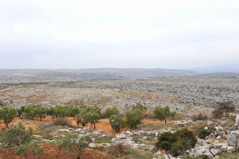 sergilla syria  163.jpg